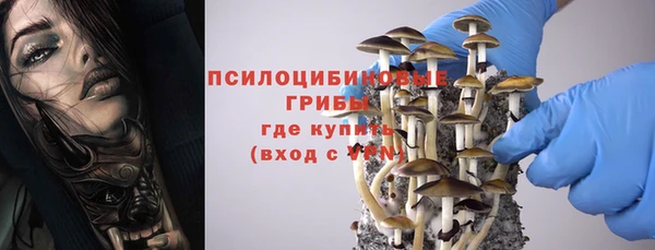 бошки Кулебаки