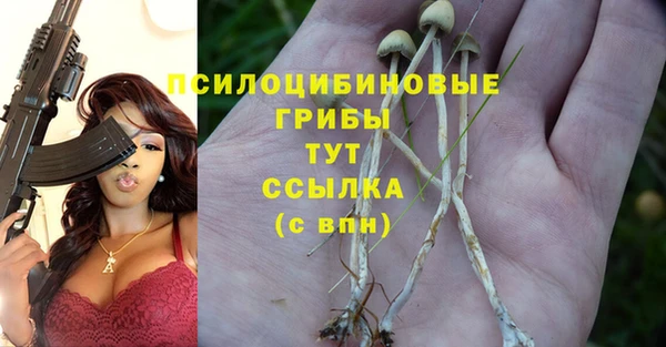 крисы Кукмор