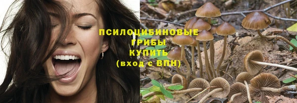 крисы Кукмор